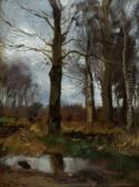 View Of A Forrest Oil Painting by Willem George Fred. Jansen