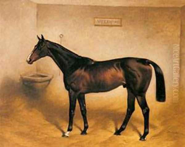 The Racehorse Abbeywood In A Stable Oil Painting by Basil J. Nightingale