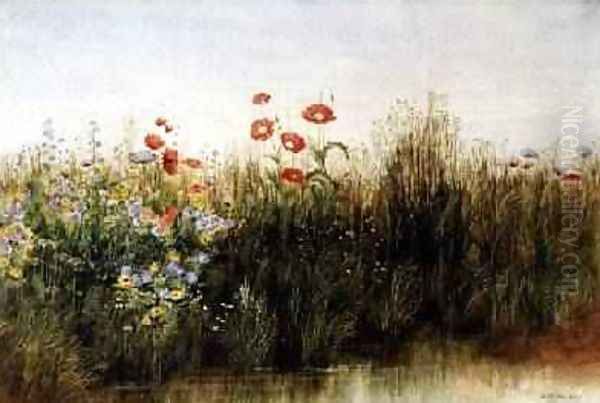 Wild Flowers by a Stream Oil Painting by Andrew Nicholl