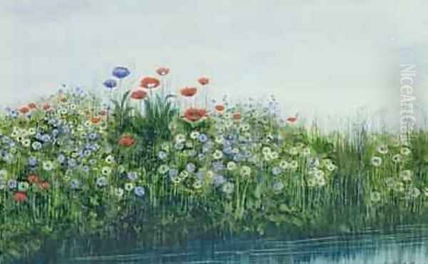 Poppies by a Stream Oil Painting by Andrew Nicholl