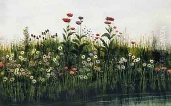 Poppies Daisies and Thistles on a River Bank Oil Painting by Andrew Nicholl