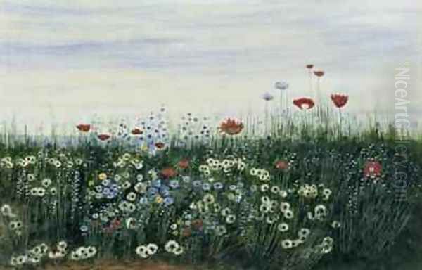 Poppies Daisies and other Flowers by the Sea Oil Painting by Andrew Nicholl