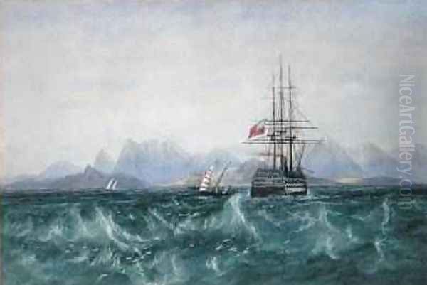 The British Fleet Surrounded by Flying Fish off Ceylon Oil Painting by Andrew Nicholl