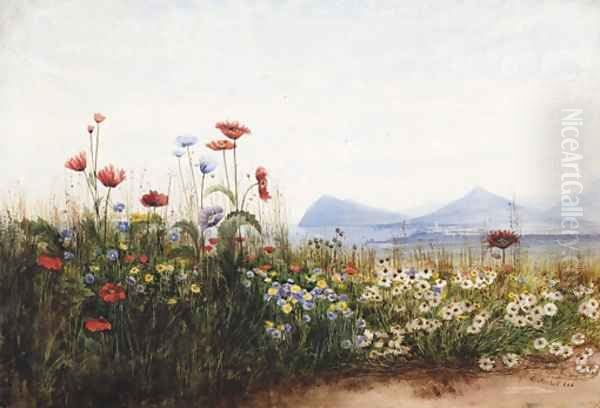 Poppies, cornflowers and daisies on Killiney Hill Oil Painting by Andrew Nicholl