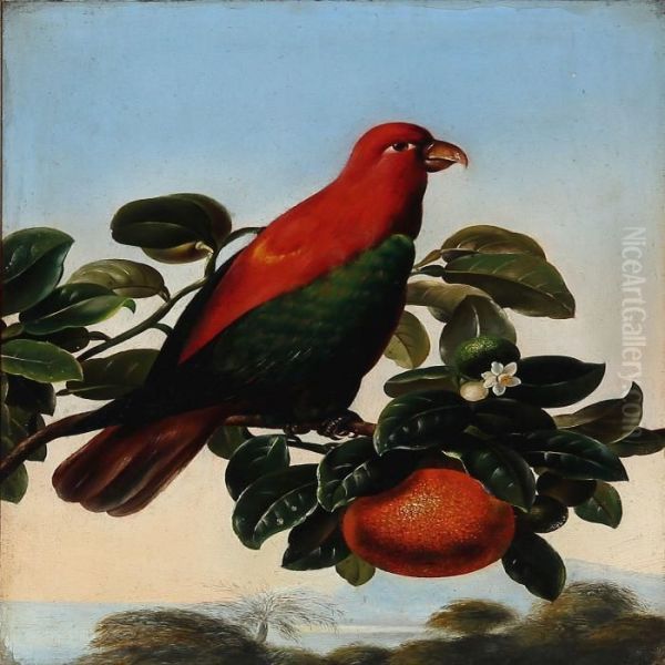 Red Amazon Parrot On An Orange Twig Oil Painting by I.L. Jensen