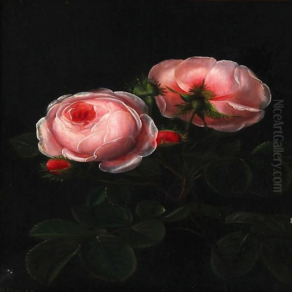 Newly Sprouted Pink Roses Oil Painting by I.L. Jensen