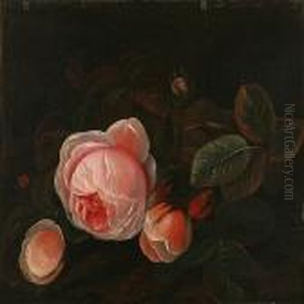 Pink Roses Oil Painting by I.L. Jensen