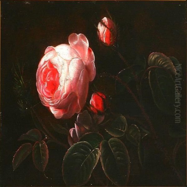 Pink Roses Oil Painting by I.L. Jensen