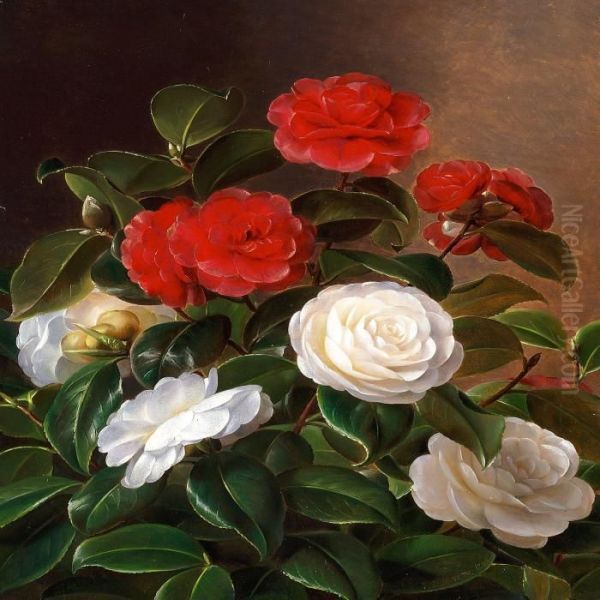 Red And White Camellia Oil Painting by I.L. Jensen