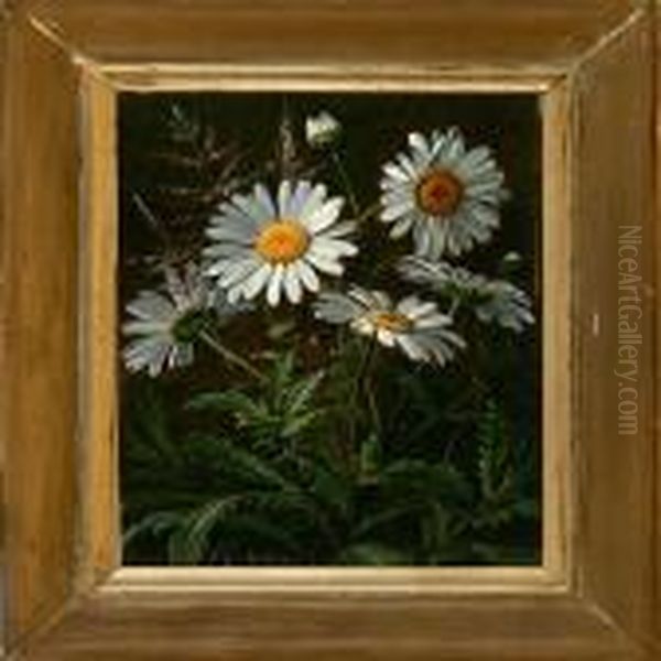 Daisies Oil Painting by I.L. Jensen