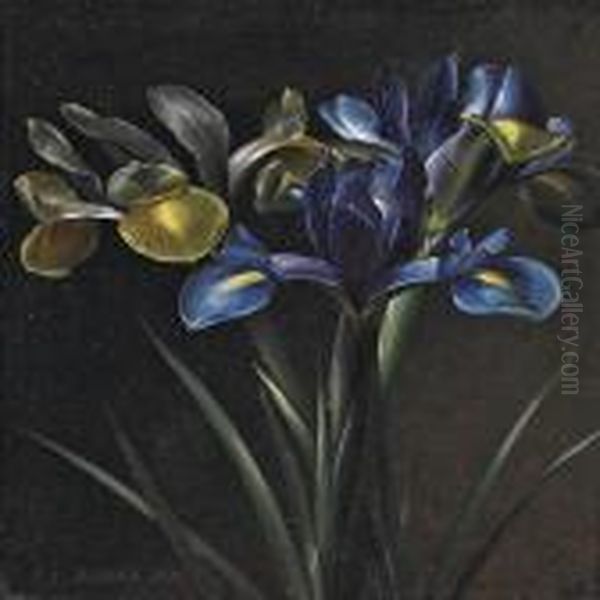 Yellow And Blue Iris Oil Painting by I.L. Jensen