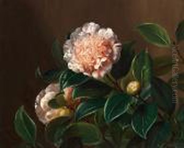 Camellia Oil Painting by I.L. Jensen