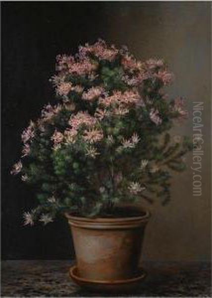 Still Life Af Blomster I En Terracotta Krukke (still Life Offlowers In A Terracotta Pot) Oil Painting by Johan Laurentz Jensen