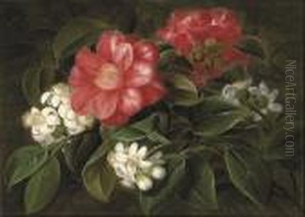 Stephanotus And Camelia Oil Painting by Johan Laurentz Jensen