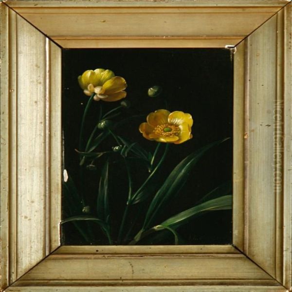 A Buttercup Oil Painting by Johan Laurentz Jensen