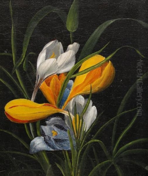 Stilleben Med Krokus Oil Painting by Johan Laurentz Jensen