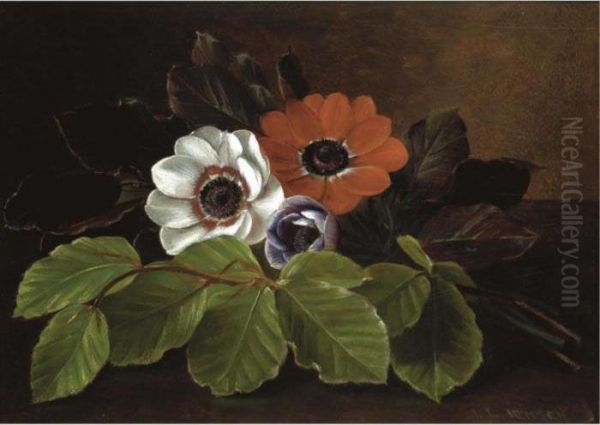 Still Life Of Anemones Oil Painting by Johan Laurentz Jensen