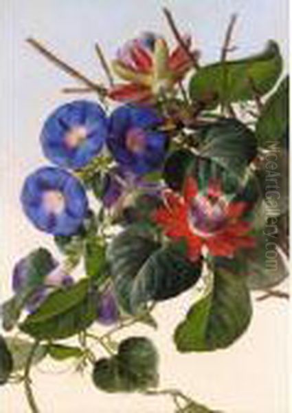 Passionflowers And Hummingbird Oil Painting by Johan Laurentz Jensen