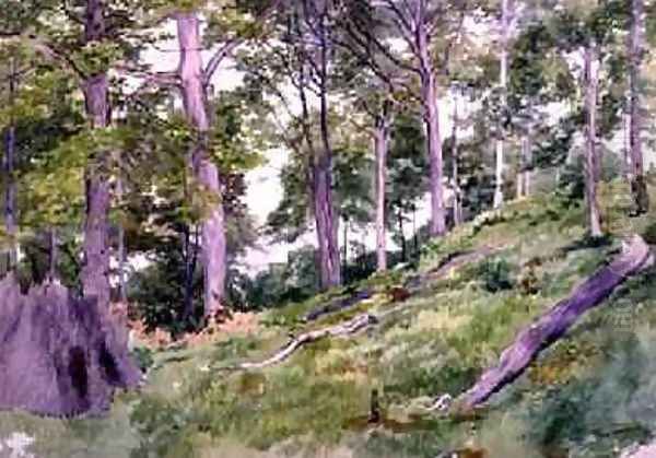 Clearing in the Woods near Ludlow Oil Painting by Alfred Nichols