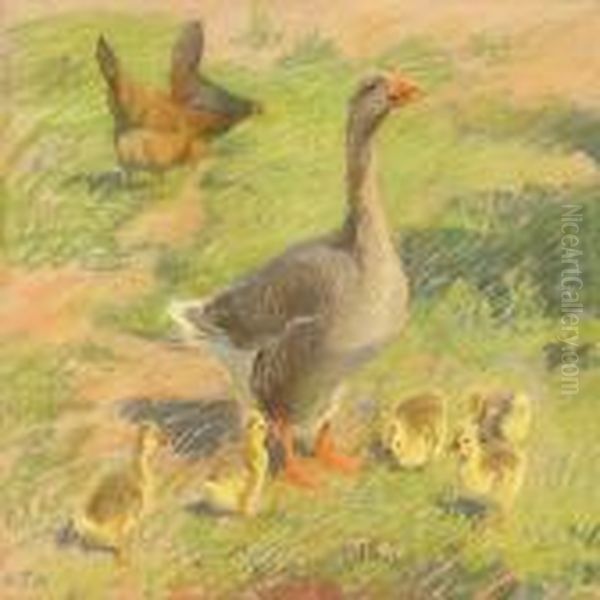 Free-range Chickens And Goose With Goslings Oil Painting by Viggo Johansen