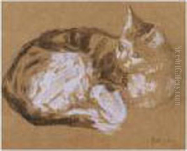 Tabby Curled Up And Looking Attentively Oil Painting by Gwendolen John