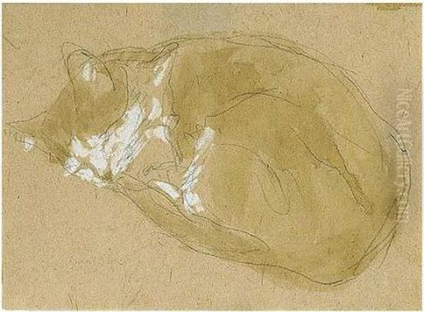 Cat Sleeping Oil Painting by Gwendolen John