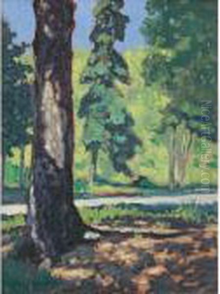 Sun Through The Trees Oil Painting by Franz Hans Johnston