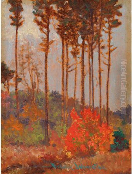 The Red Bush Oil Painting by Franz Hans Johnston