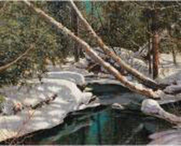 Woodland Silence (the Forest Stream) Oil Painting by Franz Hans Johnston