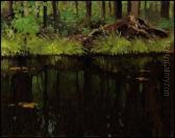 Reflections Oil Painting by Franz Hans Johnston