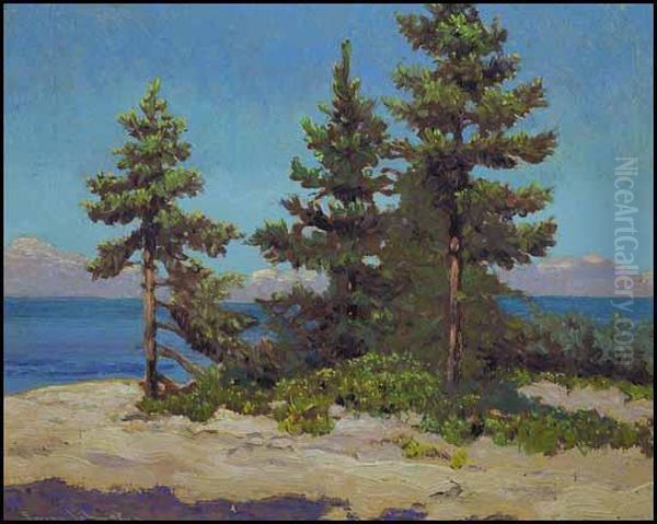 Spruce Point, Georgian Bay Oil Painting by Franz Hans Johnston