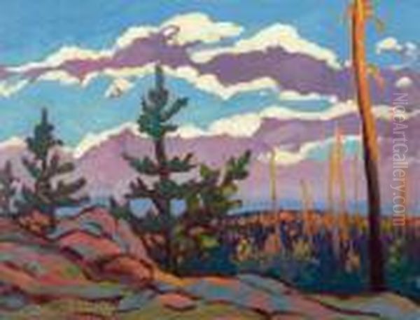 Agawa Canyon Territory -algoma Oil Painting by Franz Hans Johnston