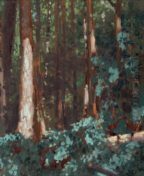 Forest Interior Oil Painting by Franz Hans Johnston