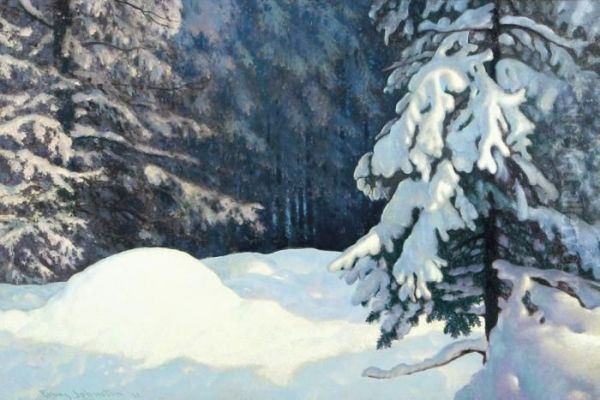 Beauty, Mantled Deep Oil Painting by Franz Hans Johnston