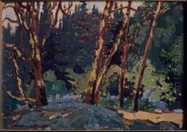 Madrona (arbutus) Trees, Pacific Coast Oil On Panel Oil Painting by Franz Hans Johnston