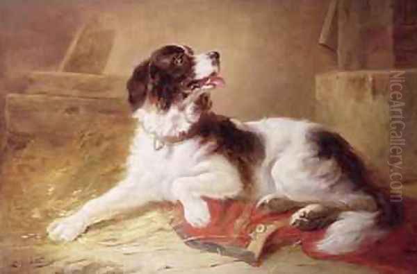 Portrait of a Spaniel Oil Painting by Zacharias Noterman