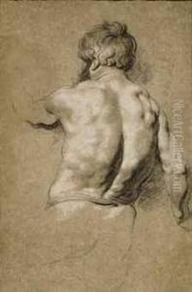 Study Of A Man Seen From Behind Oil Painting by Jacob Jordaens