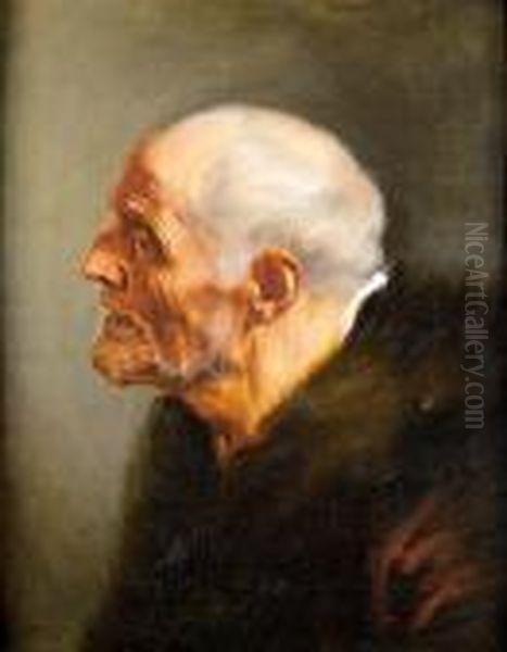 An Elderly Man In A Fur Trimmed Coat Oil Painting by Jacob Jordaens