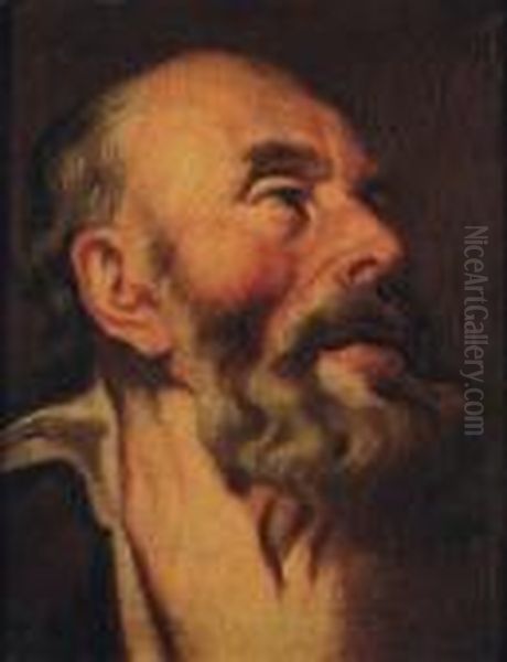 Tete D'apotre Oil Painting by Jacob Jordaens