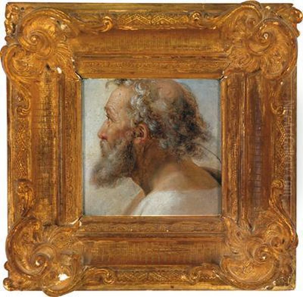 Studio Di Uomo Con Barba In Profilo Oil Painting by Jacob Jordaens