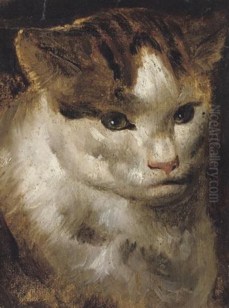 Study Of A Cat Oil Painting by Jacob Jordaens