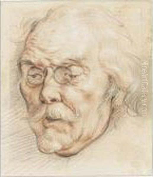 Head Of An Elderly Man Oil Painting by Jacob Jordaens