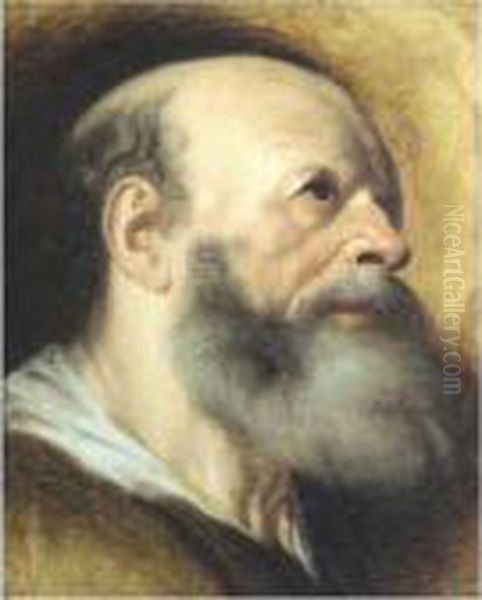 Portrait Of A Bearded Man Oil Painting by Jacob Jordaens