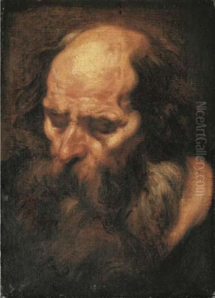 The Head Of A Bearded Man Oil Painting by Jacob Jordaens