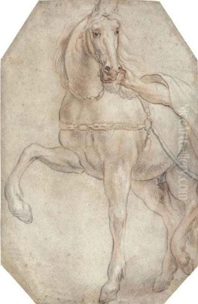 A Harnessed Horse Looking To The Right Oil Painting by Jacob Jordaens