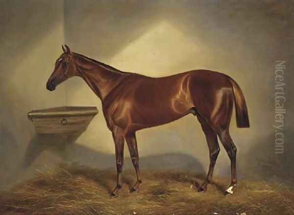 A chestnut racehorse in a stable Oil Painting by Benjamin Cam Norton