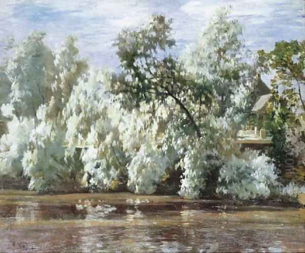 Willows Oil Painting by Robert Noble