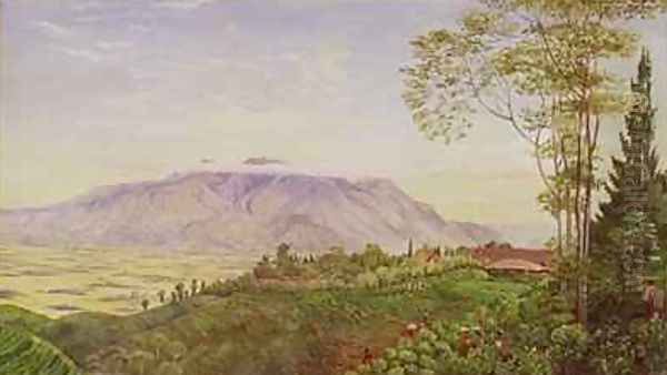 Tea Gathering in Mr Hoelles plantation at Garoet Java 1875 Oil Painting by Marianne North