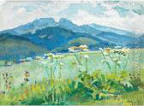 Mountain Meadow Oil Painting by Stanislaw Kamocki