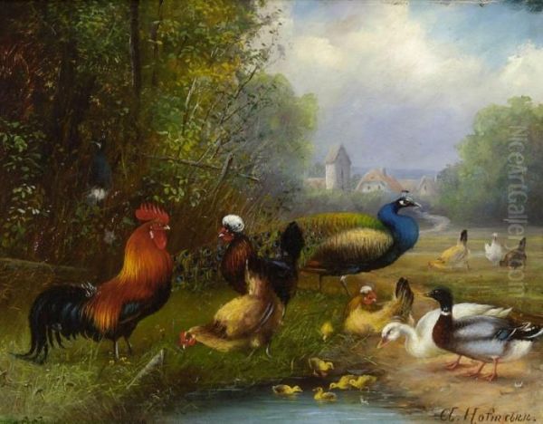 Huhner, Enten Und Pfau Am Teich Oil Painting by Karl Kaufmann